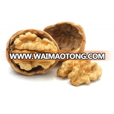 CHILEAN WALNUTS