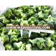 Frozen vegetables / IQF broccoli / Frozen broccoli 2017 new