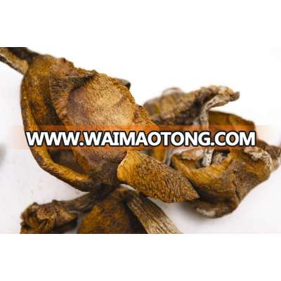 DRIED MUSHROOMS / BOLETUS LUTEUS