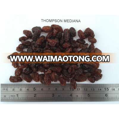 CHILEAN RAISINS