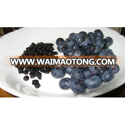 ORGANIC DRIED BLUEBERRIES INFUSED IN ORGANIC APPLE JUICE