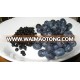 ORGANIC DRIED BLUEBERRIES INFUSED IN ORGANIC APPLE JUICE